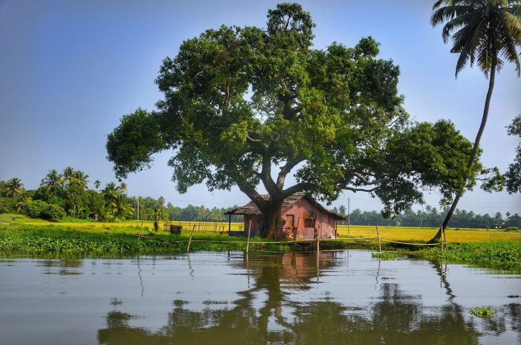 alleppey, backwaters, kerala